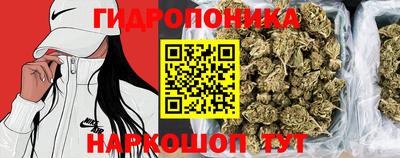 хмурый Будённовск