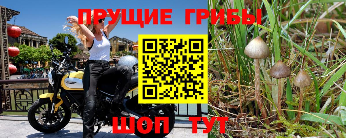 Галлюциногенные грибы Magic Shrooms  Вход с VPN  Галлюциногенные грибы MAGIC MUSHROOMS  Лиски 