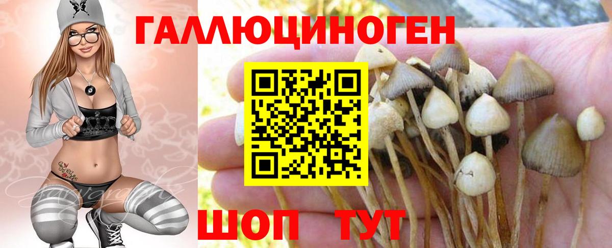 Галлюциногенные грибы MAGIC MUSHROOMS Лиски